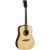 EKO WOW D800E SR (SPRUCE/ROSEWOOD)