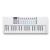 Novation Launchkey Mini 37 Mk4 White