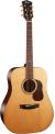 Cort Gold D-6 w/Case