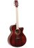 Tanglewood TW4E-BLB Serie Winterleaf