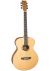 Tanglewood DBT-F-HR Natural Open Pore Satin