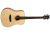 Tanglewood TS5
