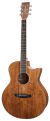 Tanglewood TW4E-VC-BW EXDEMO Serie Winterleaf
