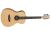 Tanglewood DBT-PE-HR Serie DISCOVERY EXOTIC