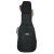 Gator G-PG-ACOUELECT
