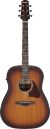 Ibanez Advanced Acoustic AAD54E-OMH