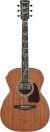 Ibanez Artwood AC390MHE-OPN