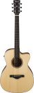 Ibanez ACFS300CE-OPS - 1