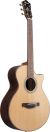 Ibanez Artwood AE300ZRJRNT Natural High Gloss