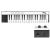 Ik Irig Keys 30pin