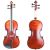 Carlo Giordano Violino 4/4 - 1