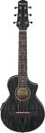 Ibanez EWP16EWB-GAO Con Borsa