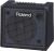 Roland KC-200 Amplificatore 12