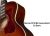 Norman ST30 MJ Havana Burst Ex-Demo