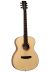 Tanglewood TS3-N