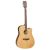 Tanglewood TW10-E Serie Winterleaf
