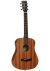 Tanglewood TW2 T Serie Winterleaf - 1