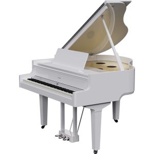 Roland Gp-9M Pw Digital Piano
