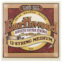 Ernie Ball 2012 Earthwood 12-String - 1