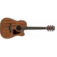 Ibanez Artwood Aw54ce-Opn - 1