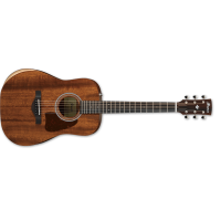 Ibanez Artwood AW54JR-OPN - 1