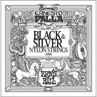 Ernesto Palla 2406 Black&Silver - 1