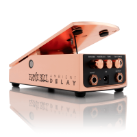 Ernie Ball 6184 Ambient Delay - 1