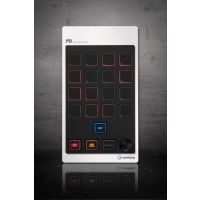 Steinberg Cmc-Pd - 1