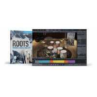 Toontrack Sdx Roots Brushes - 1