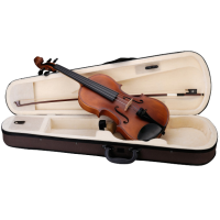 Soundsation Vpvi-34 Virtuoso Pro - 1