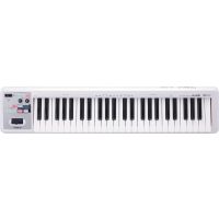 Roland A-49 Wh Midi Keyboard Controller - 1