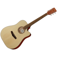 Ibanez PF10CE-OPN - 1