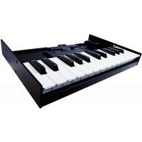 Roland K-25m Boutique Keyboard Unit - 1