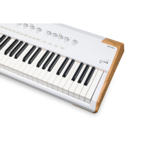 Arturia Astrolab 88 Tasti Pesati