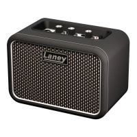 Laney Mini Supergroup Combo - 1
