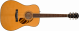 Fender PD-220E Natural - 1