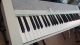 Casio Ct-S1 White Usato