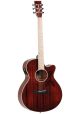 Tanglewood TW4E-BLB Serie Winterleaf