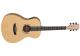 Tanglewood DBT-PE-HR Serie DISCOVERY EXOTIC