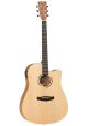 Tanglewood TWR2 DCE EX-DEMO Serie Roadster II