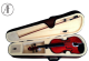 Af Maestro Violino 4/4 - 1