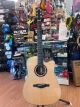 Eko Artist D900CE Campione