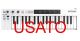 Arturia Keystep 37 USATA con Arpeggiatore e Step Sequencer - 1