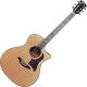 Bromo Guitar BAN2CE Denali Guitar Series