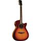 Eko Guitars One A150ce Armrest Honey Burst