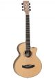 Tanglewood DBT TCE BW Serie Discovery Exotic - 1