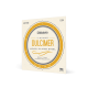 D'Addario EJ64 4-String Dulcimer Strings