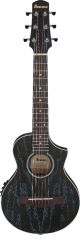 Ibanez EWP16EWB-GAO Con Borsa
