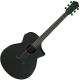 Ibanez AEWC621-BOT