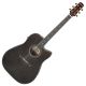 Ibanez Artwood AAD361CE TKR